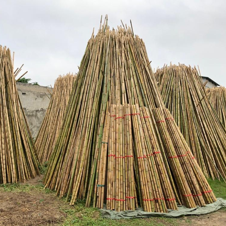 bamboo poles cheap from Vietnam with high quality