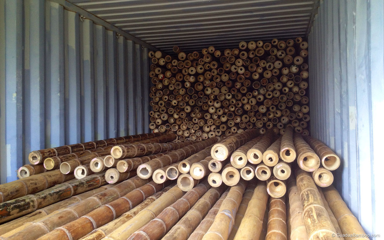 bamboo poles cheap from Vietnam with high quality