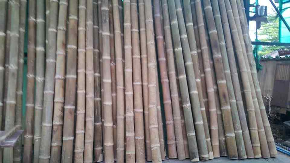 bamboo poles cheap from Vietnam with high quality