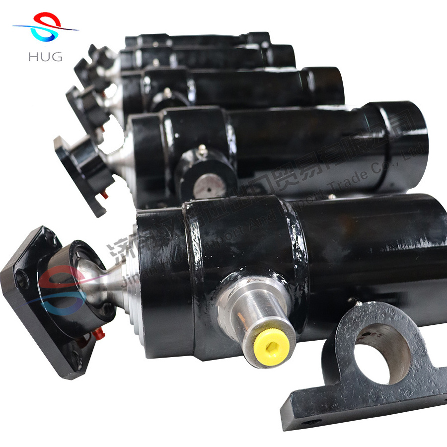 AG topgun hydraulic cylinder and 12v /24V DC power unit with hydraulic hose for tipper truck