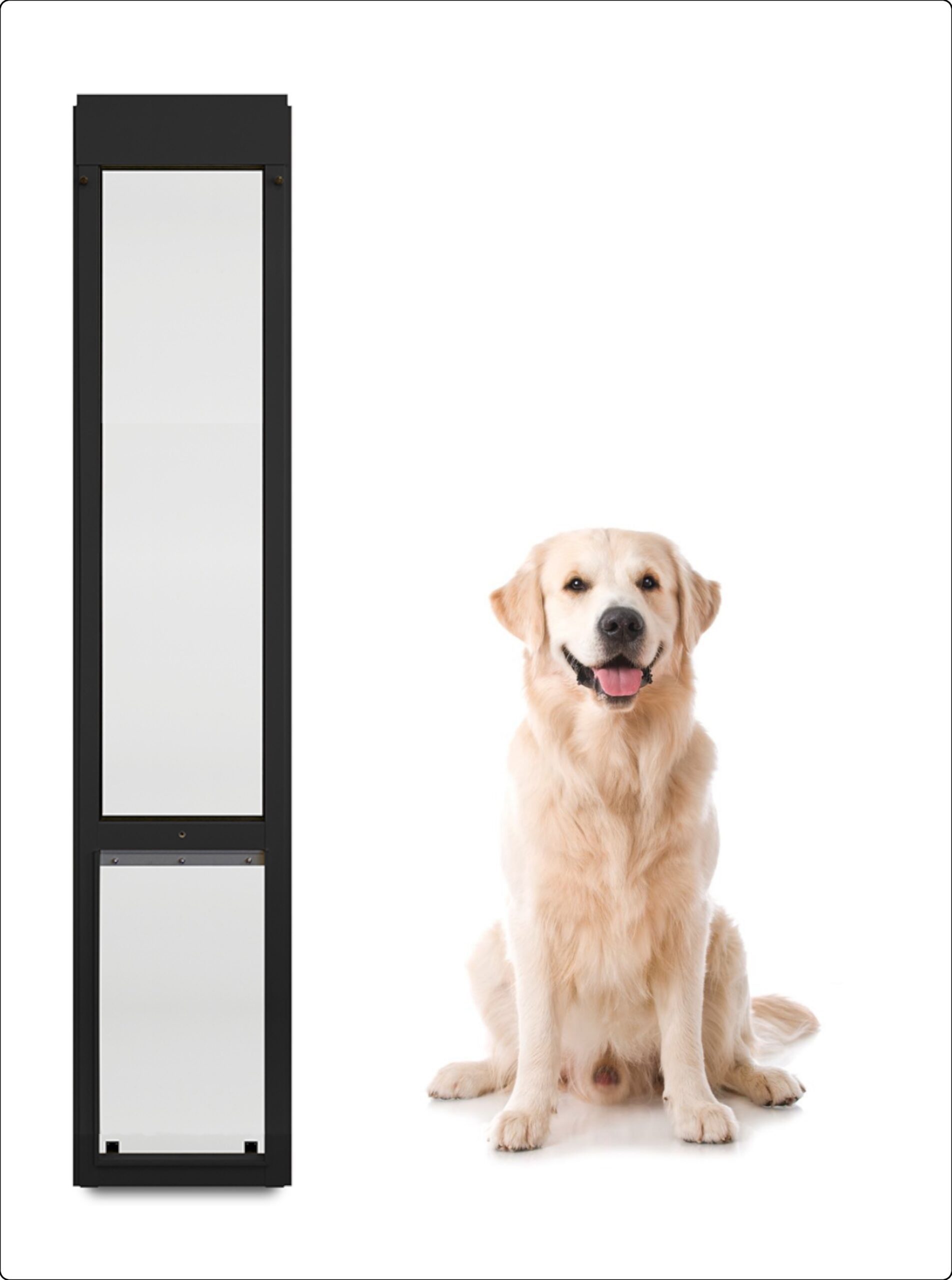 PetSafe Freedom Aluminum Patio Panel Sliding Glass Pet Door, Bronze, Medium Petco Pet Door Design