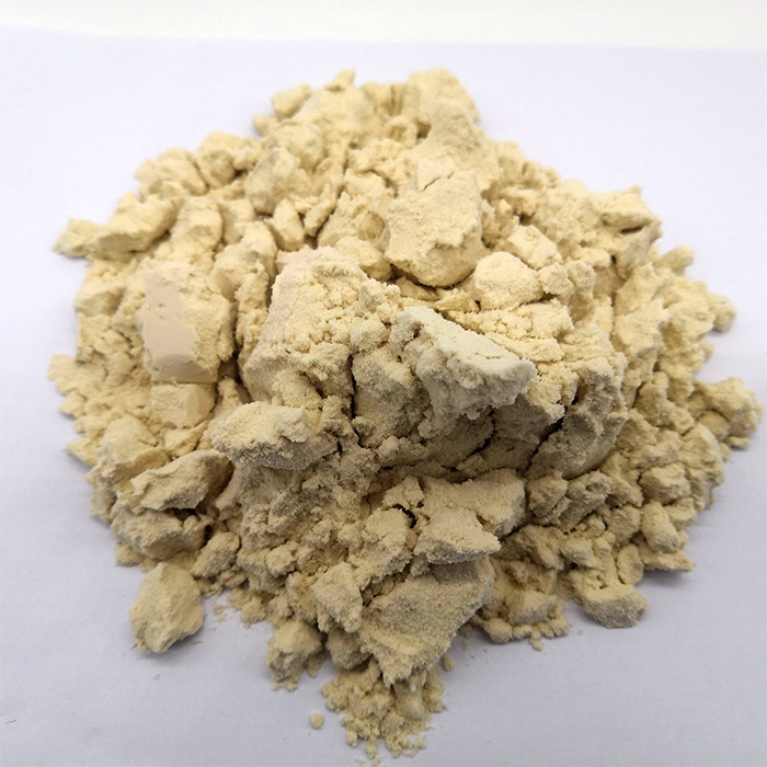 High Quality Natural Plant Protein isolated soy Protein Powder