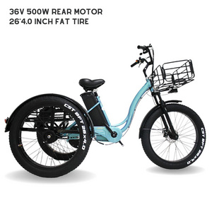 500w tricycles cargo bike pedicab electric rickshaw 3 wheel electric scooter for adult tricycle