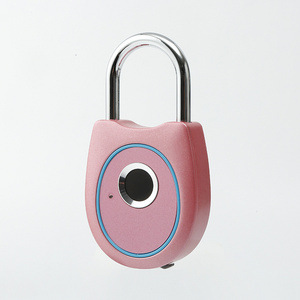 Huili lock factory whole sale Smart biometric Fingerprint Padlock Luggage Combination Smart Padlock with pink color