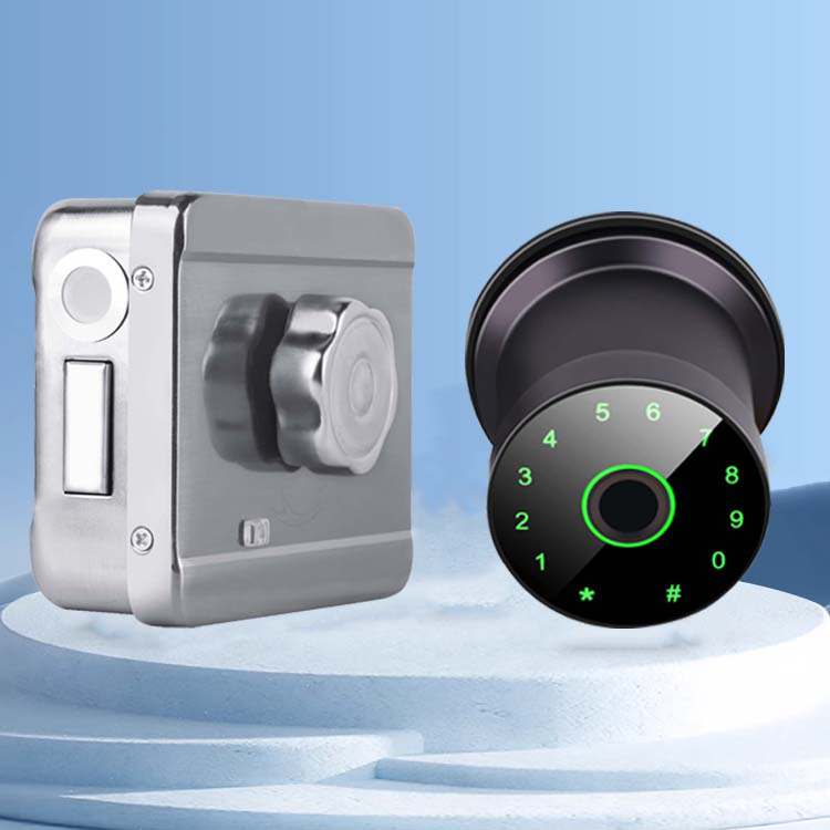 Outdoor Waterproof IP6x Tuya Fingerprint Electronic Password APP Keyless Entry Knobs Smart Door Lock Rim Lock