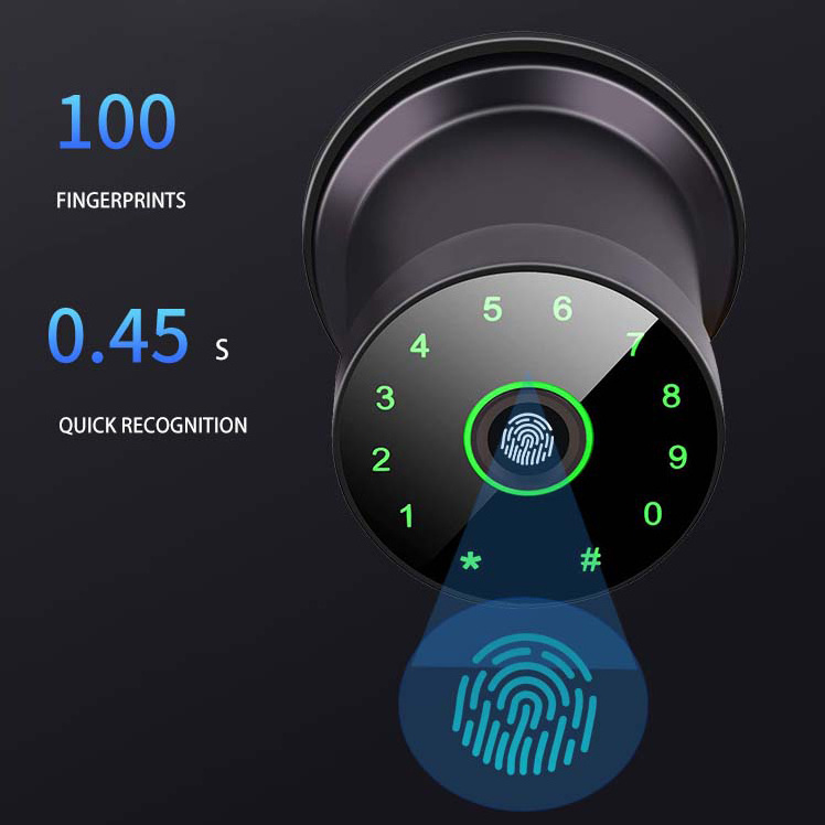 Outdoor Waterproof IP6x Tuya Fingerprint Electronic Password APP Keyless Entry Knobs Smart Door Lock Rim Lock