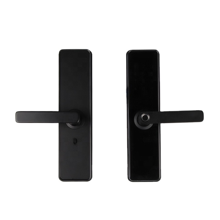 HUILI Smart Electric Fingerprint Cerradura Inteligente Con Huella Digital Interior Exterior Gate Main Door Handles Locks