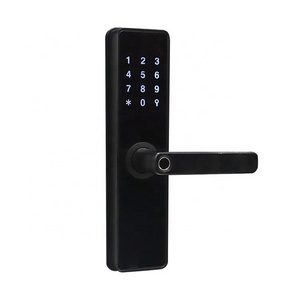 HUILI Smart Electric Fingerprint Cerradura Inteligente Con Huella Digital Interior Exterior Gate Main Door Handles Locks