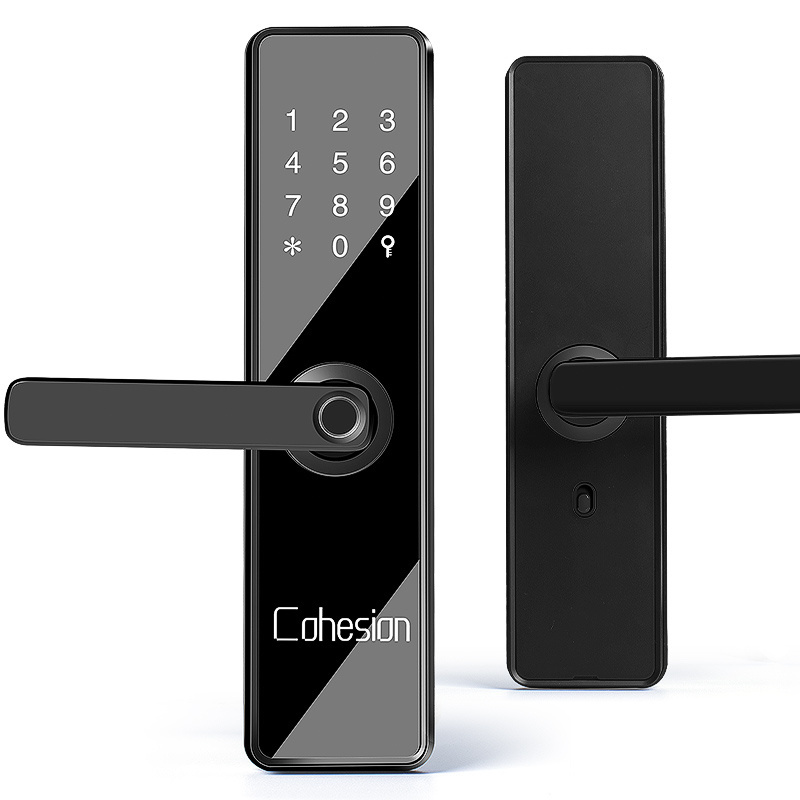 airbnb apartment smart door lock with finger print, password, app LOCK MANUFACTURER