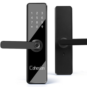 airbnb apartment smart door lock with finger print, password, app LOCK MANUFACTURER