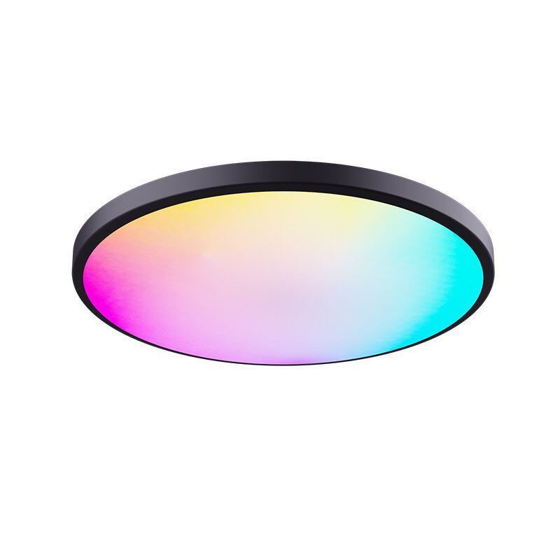 24w 320mm RGB Wifi Smart LED Flush Mount Ceiling Light Compatible with Alexa  Home Tu ya APP