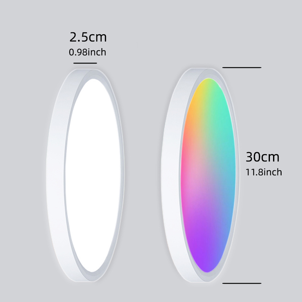 24w 320mm RGB Wifi Smart LED Flush Mount Ceiling Light Compatible with Alexa  Home Tu ya APP