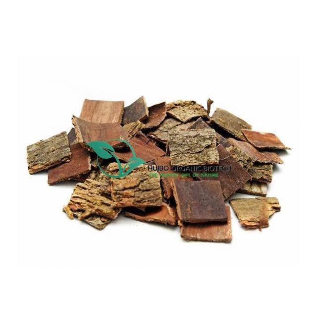 Eucommia ulmoides bark slice /powder /Eucommia extract