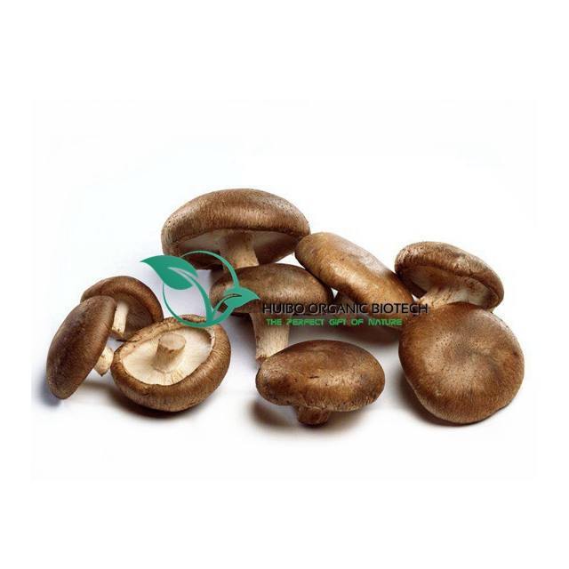 Shiitake Mushroom Extract Polysaccharide 30% / Lentinan