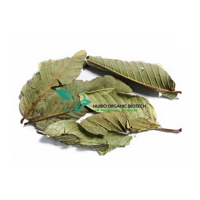 Guava Leaf extract / Guava Leaf whole / powder