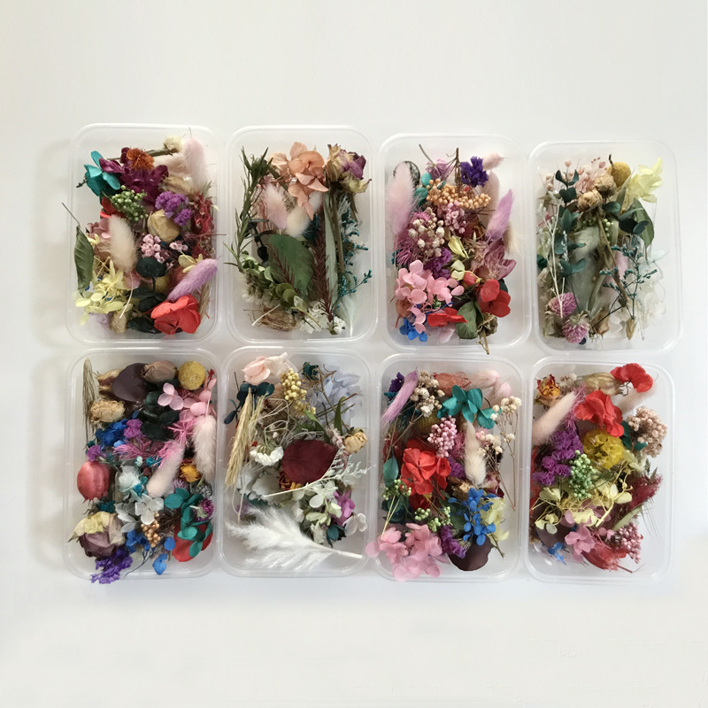 DIY Real Flower Preserved Natural Dried Press Flowers For Aromatherapy Candle Dried Flowers for Resin Pendant Necklace Craft