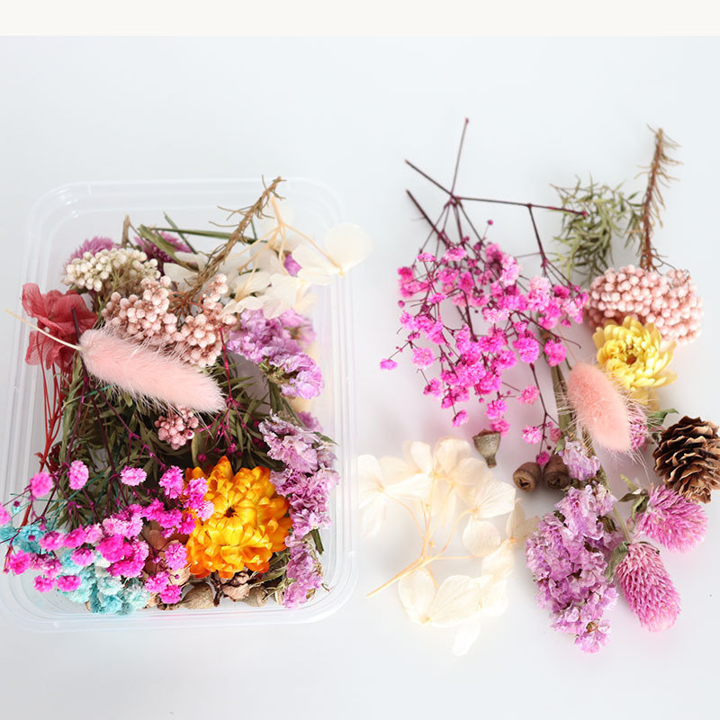 DIY Real Flower Preserved Natural Dried Press Flowers For Aromatherapy Candle Dried Flowers for Resin Pendant Necklace Craft