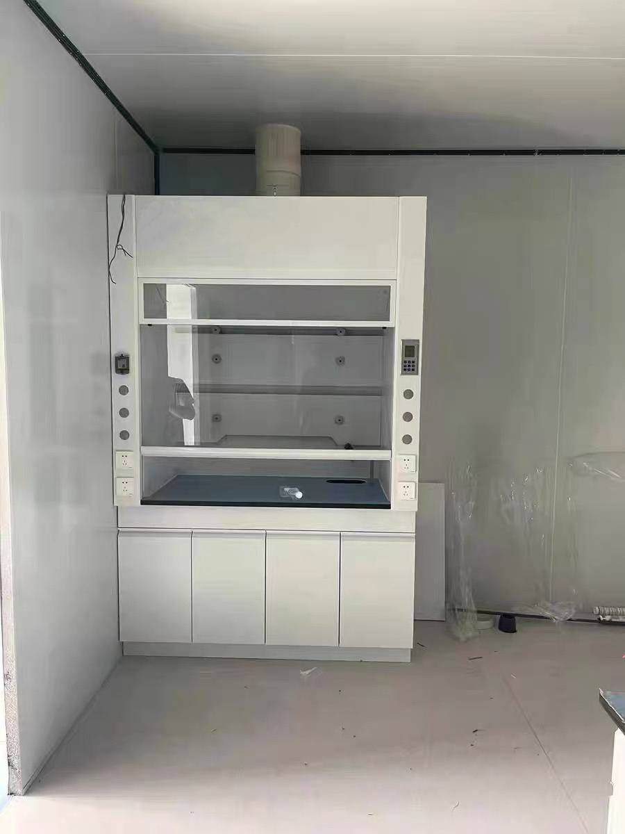 High Quality Laminar Flow Hood Specially Featured Lab Fume Hood Double Lock Function Fume Hood Cabinet