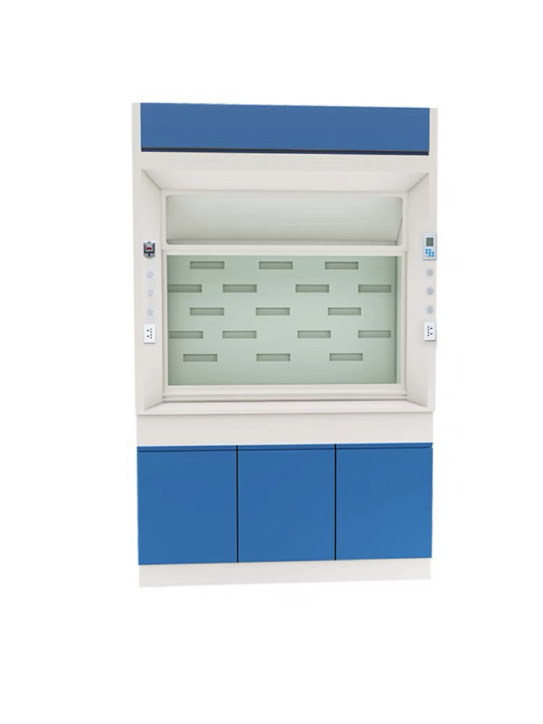 High Quality Laminar Flow Hood Specially Featured Lab Fume Hood Double Lock Function Fume Hood Cabinet