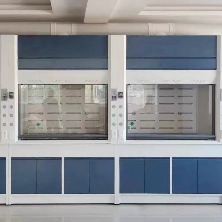 High Quality Laminar Flow Hood Specially Featured Lab Fume Hood Double Lock Function Fume Hood Cabinet