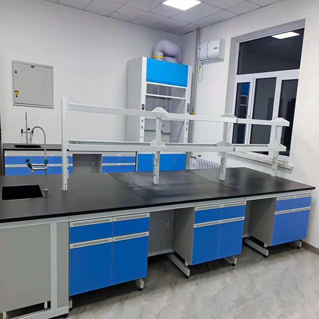 Good Price Chemistry Lab Equipment/Lab Furniture/ Structure Lab Working Bench