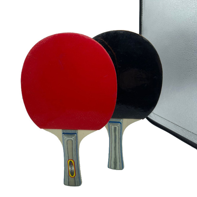 New Design Top Quality Professional Table Tennis Racket Best Table Tennis Racket