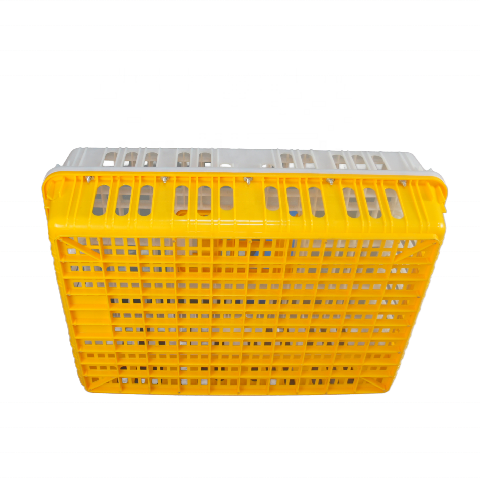 Commercial Poultry Equipment Transportable Chicken Farming Circulating Cages for Chicken Raising