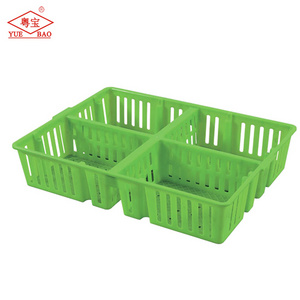 Unique Design Farming Using Equipment Chick Transfer Cage Chicken Cages Plastic Poultry Crate With Four Compartments