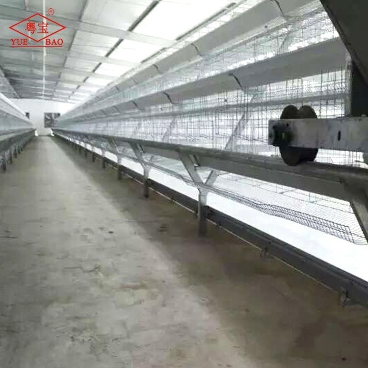 Poultry Feed Line Cleaning Dung Chicken Conveyor Automatic Manure Belt For Layer Cage