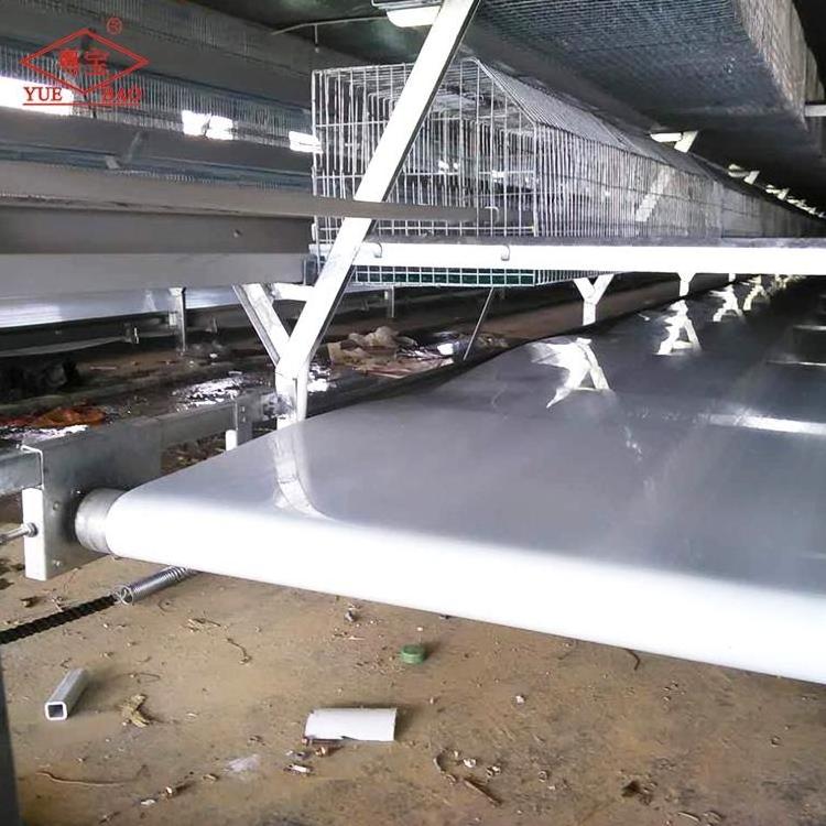 Good Quality Conveyor Farm Cage Layer Chicken Pp Poultry Belts Manure Belt For Cleaning Dung