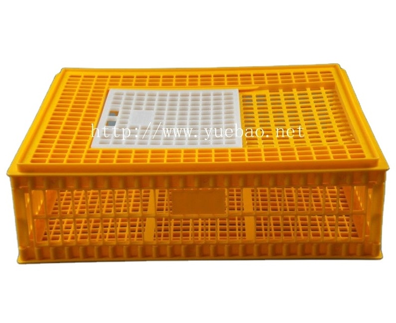 Bird Breeding Broiler Layer Poultry Quail Chicken Bird Pet Animal Pet Cages Carriers Cage