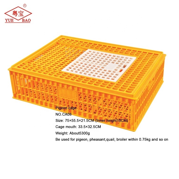 Bird Breeding Broiler Layer Poultry Quail Chicken Bird Pet Animal Pet Cages Carriers Cage