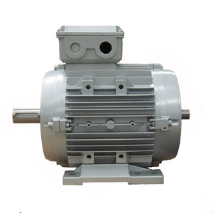 Double Shaft 230/380V B3 AC Three Phase Electric Motor