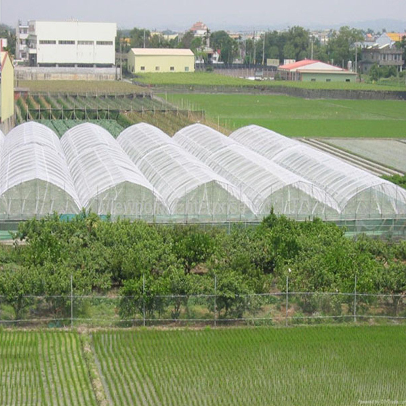 HDPE 10 x 50Ft  anti hail net anti insect net greenhouse agriculture insect net for Plants Vegetable Fruits Flowers