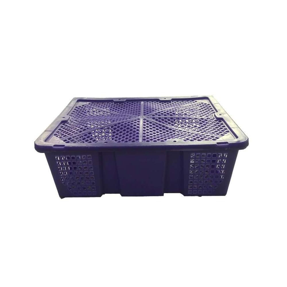 quail plastic transport box / chicken crates / pigeon poultry transport case