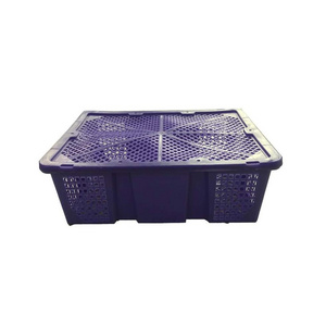 quail plastic transport box / chicken crates / pigeon poultry transport case