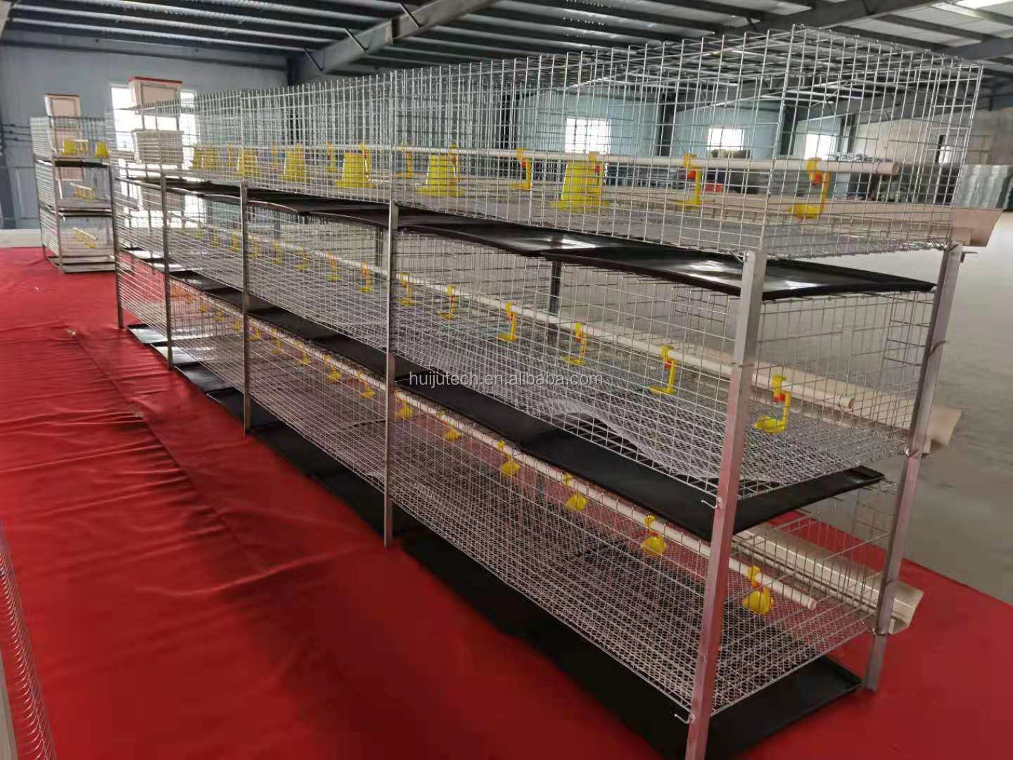 Automatic bird-harvesting H type farm equipment hen layer cages chicken broiler rasing cage