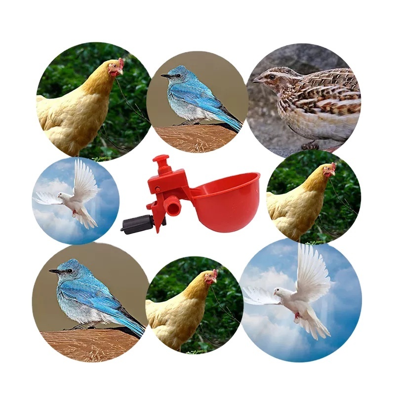 automatic poultry drinking cup with connector for pigeon bird chicken quail nipple drinker water bowl