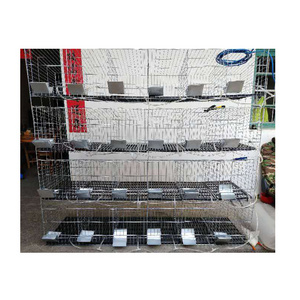 fat rabbit cage 24 cells rabbit breeding machine HJ-RC24