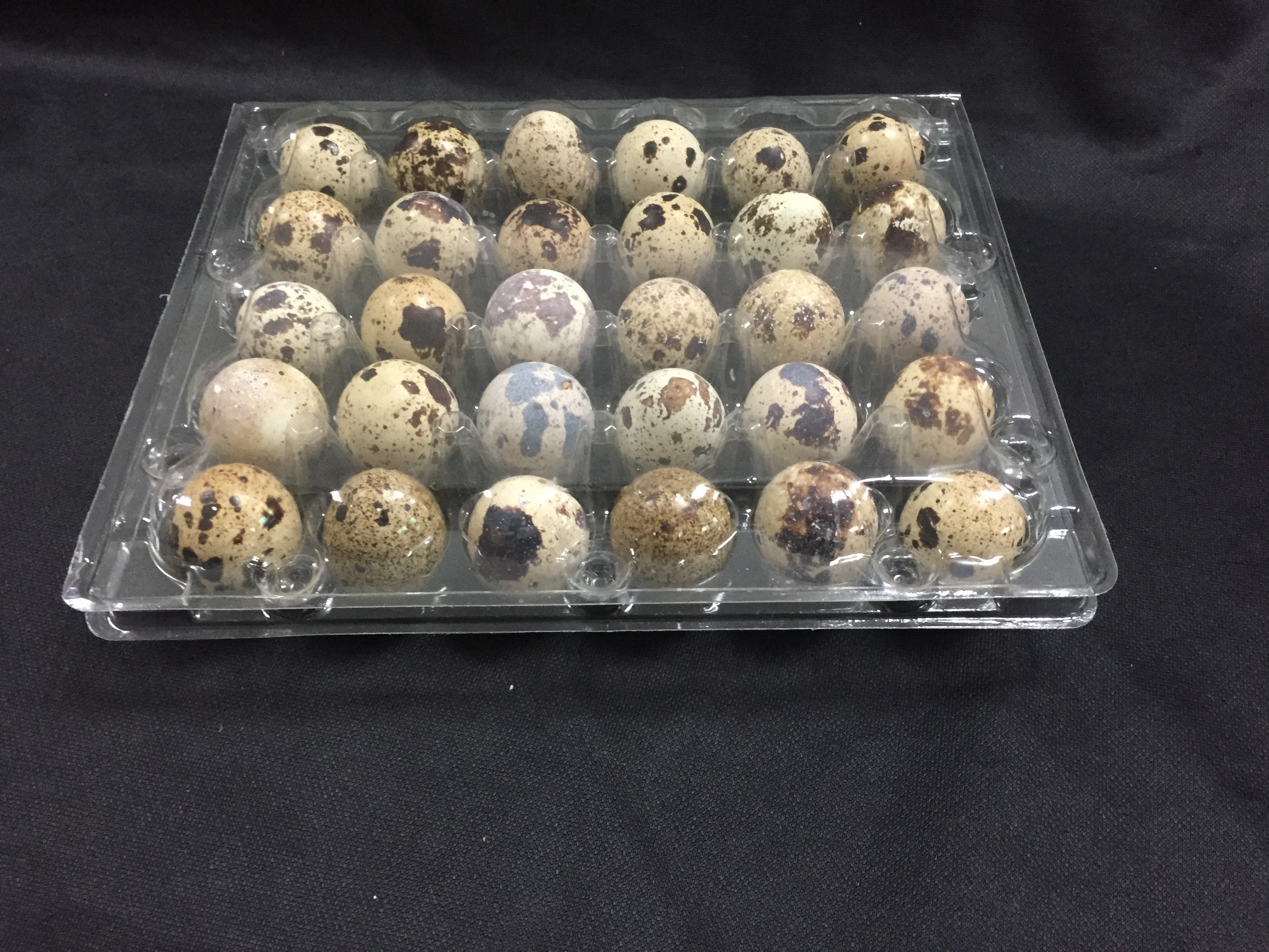 30 eggs plastic quail egg tray / quail egg packaging / quail egg boxes