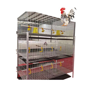 Automatic bird-harvesting H type farm equipment hen layer cages chicken broiler rasing cage