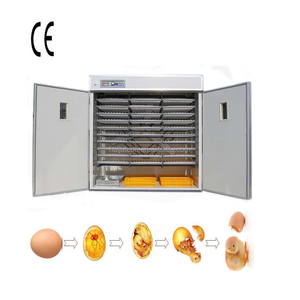 Hot Sale finch egg incubator Fully egg incubators automatic hatching machine for hatching HJ-IH5280