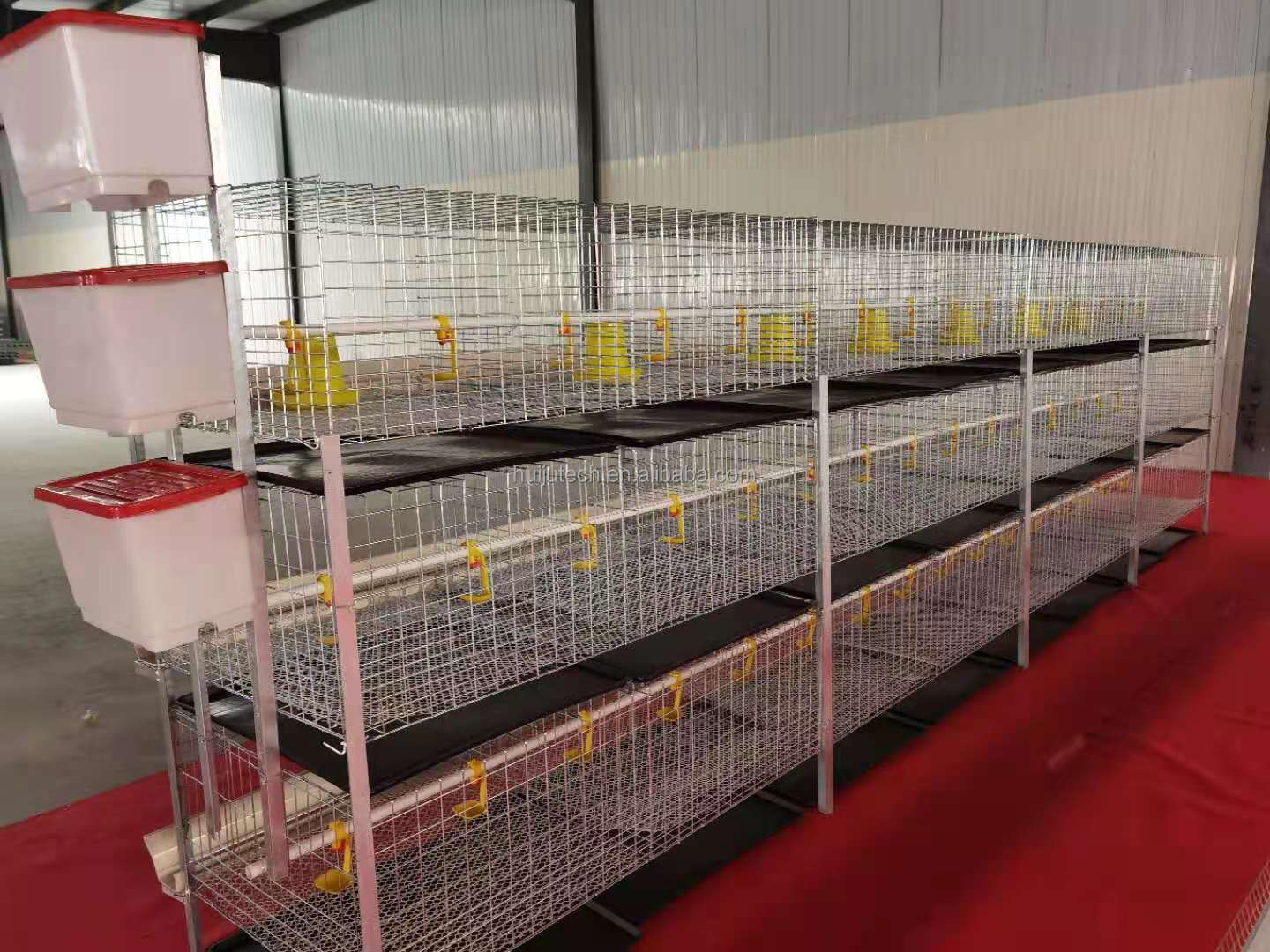 Automatic bird-harvesting H type farm equipment hen layer cages chicken broiler rasing cage