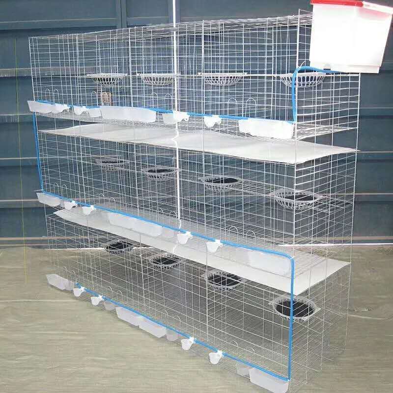 24 capacity poultry farm breeding pigeon cage HJ-PC24