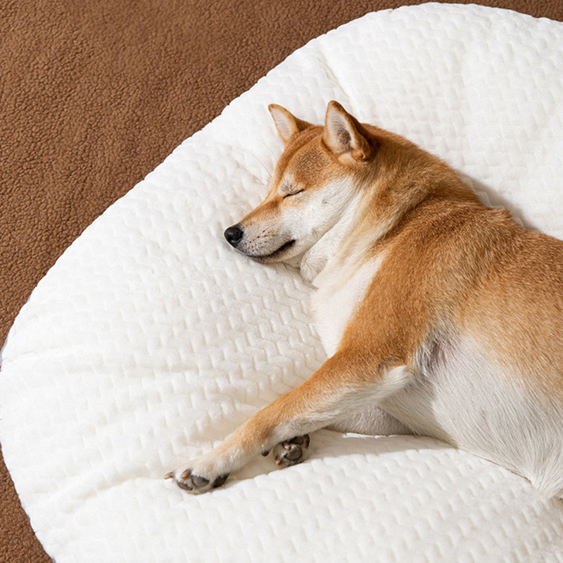 Luxury Plush Soft Calming Donut Dog Bed Kennel Dropshipping Washable Extra Large Dog Sofa Cat Round Car Cushion