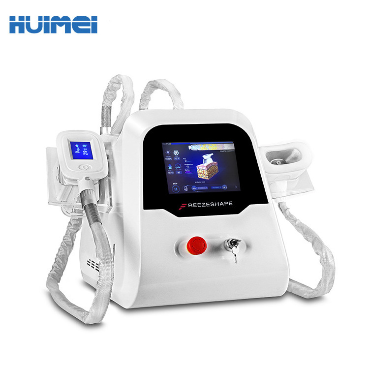 2022 best sell 2 or 4 handle home cryolipolyse maquina cryotherapy portable criolipolise machine