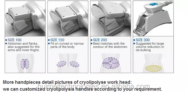 2023 shape cryo 4 handles plates portable weight 360 fat freezing cool body sculpting cryolipolysis slimming machine