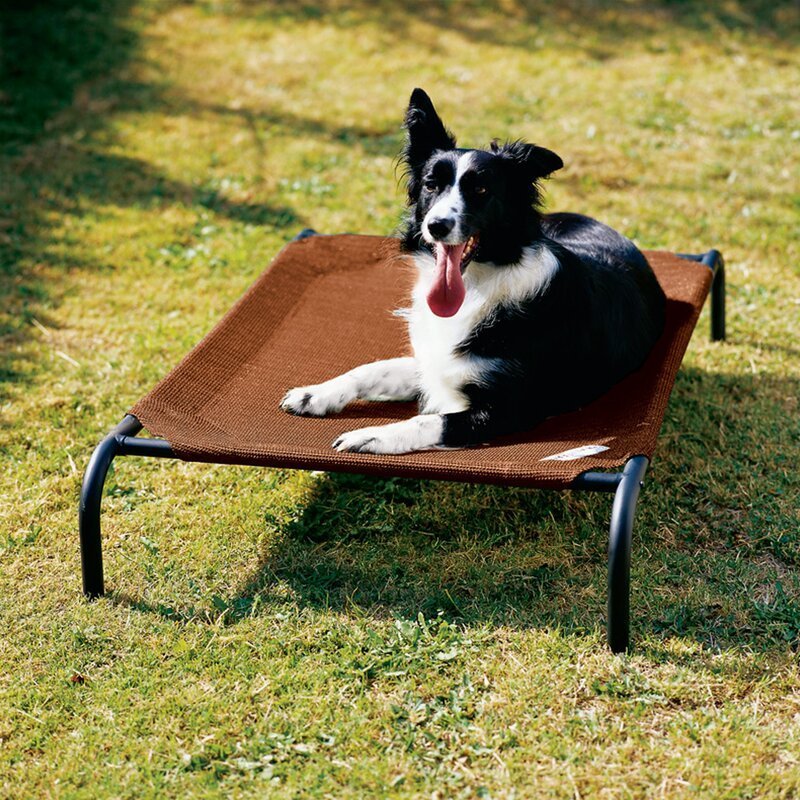 2023 outdoor unique dog bed pet camping raised extra large elevated dog bed