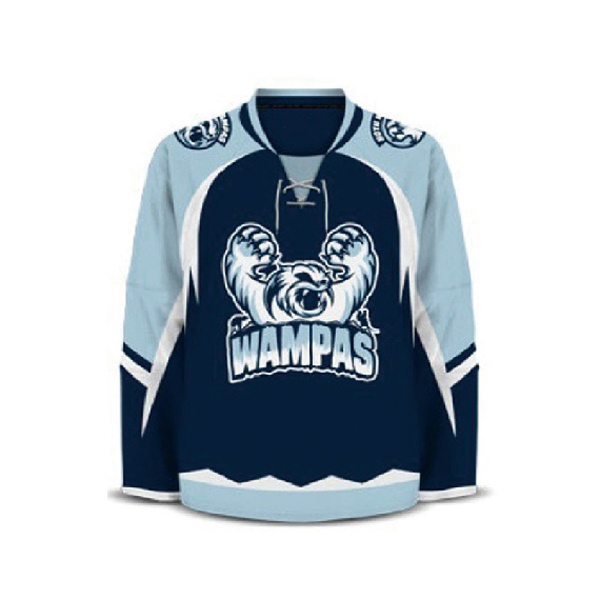 High quality custom design embroidery tackle twill stitched ice hockey jerseys