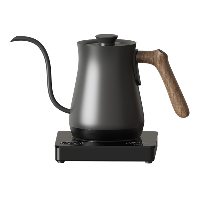 Ranbem Digital Temperature Selection Electric Gooseneck Kettle with Thermometer for Pour Over Coffee Brewing Tea